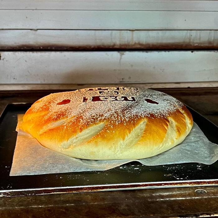 画像499